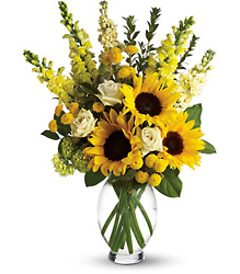 Here Comes The Sun! from Arjuna Florist in Brockport, NY